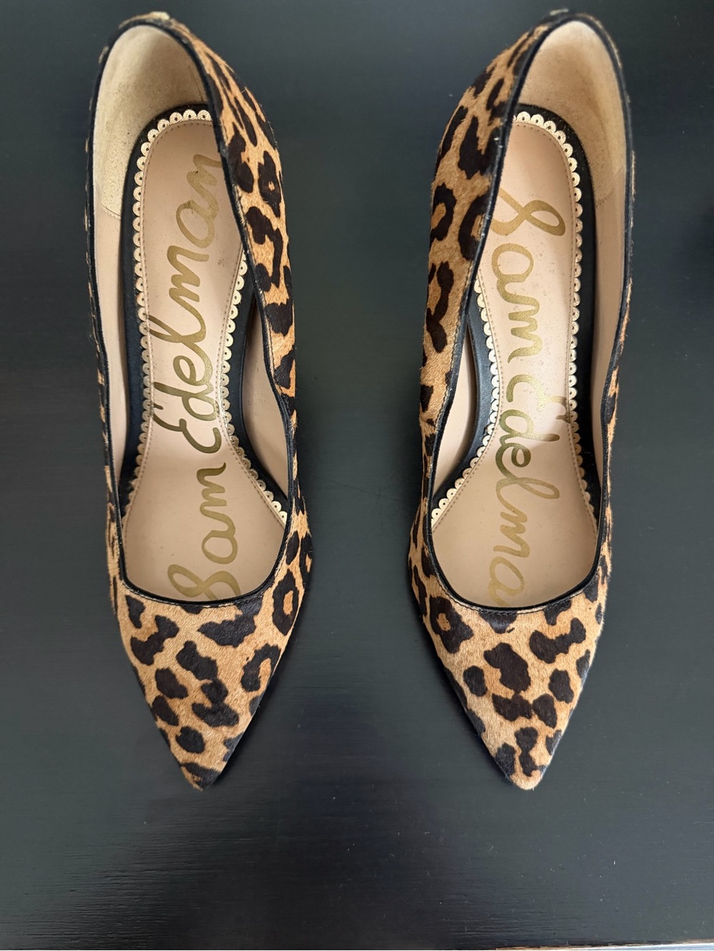 Sam Edelman Leopard-Print Pointed Toe Pumps - Brown/Black